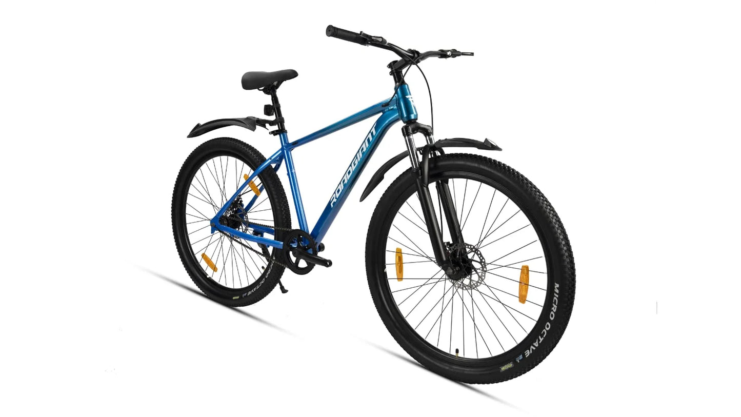 Roadgiant Convict | Single Speed | 29T MTB