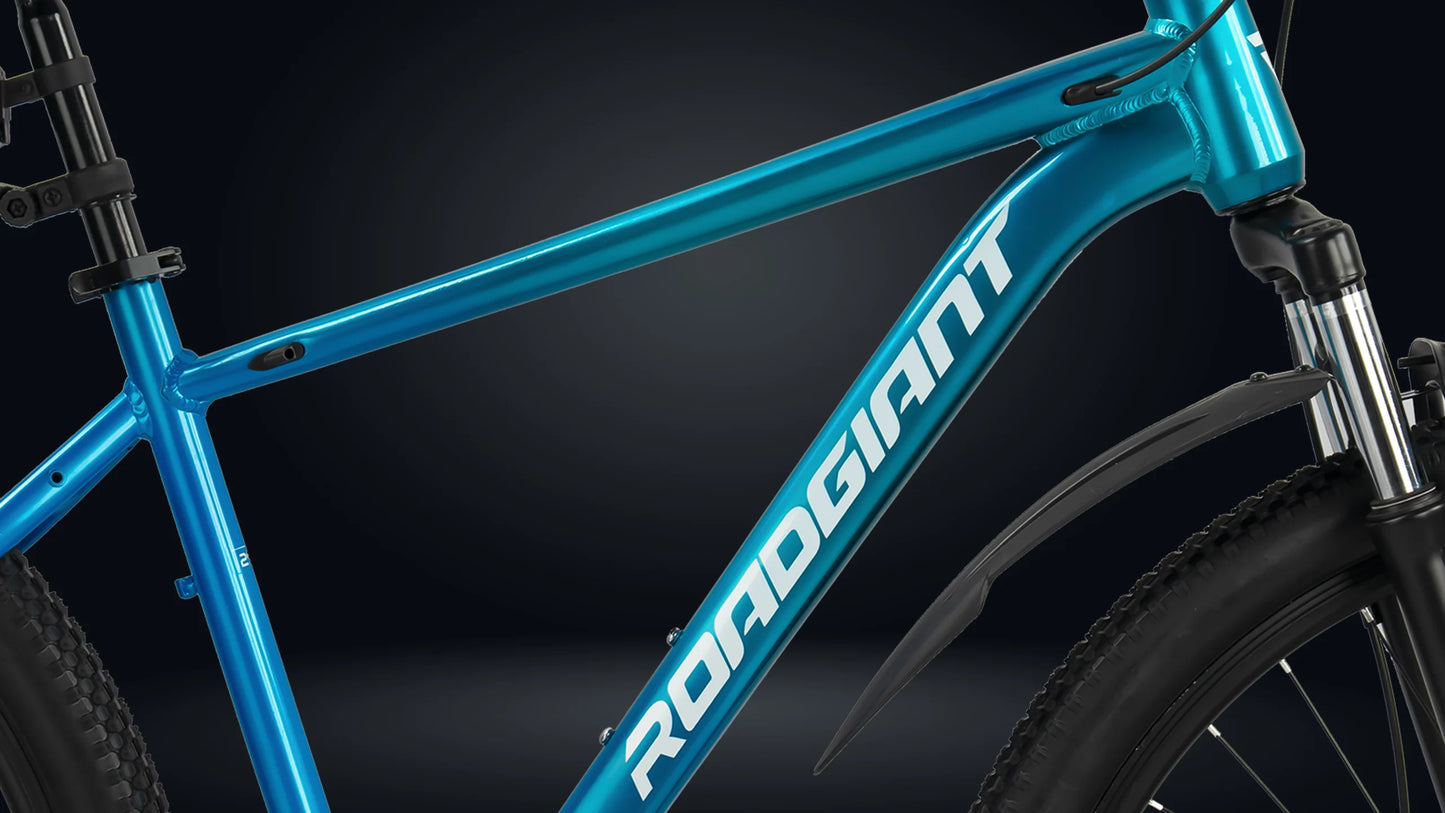 Roadgiant Convict | Single Speed | 29T MTB