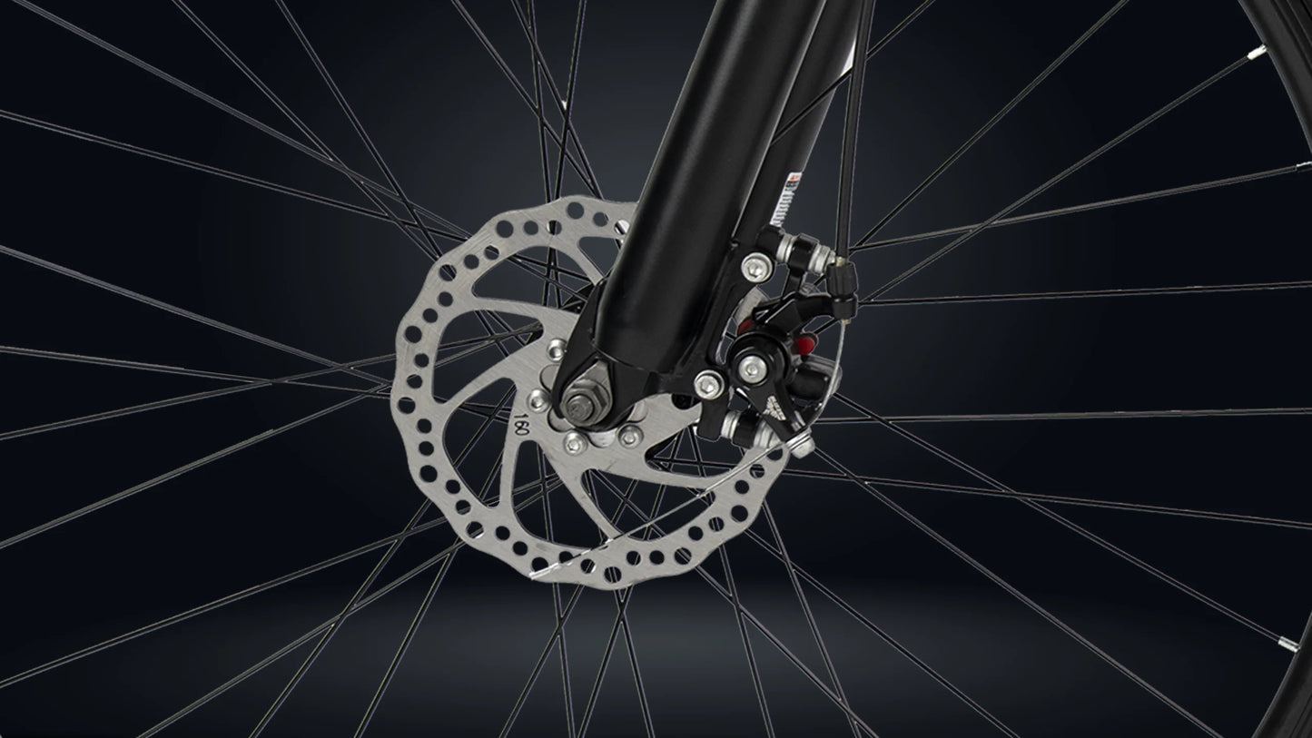 Roadgiant Convict | Single Speed | 29T MTB