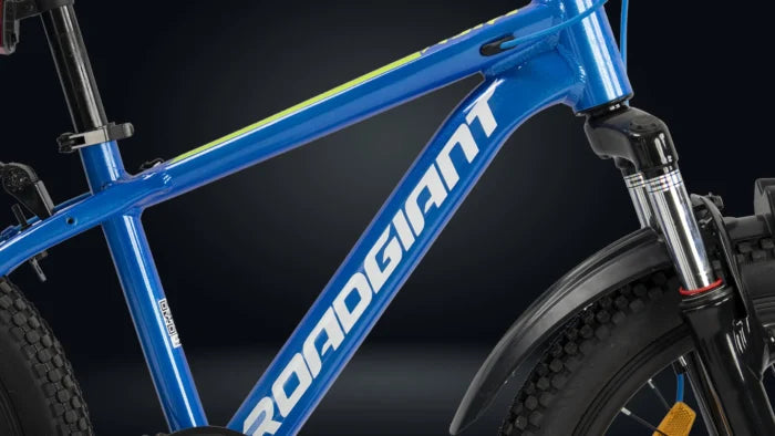 Roadgiant Kiev | Kids Cycle | 20T | Disc Brakes