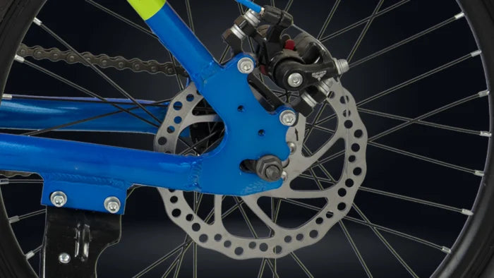 Roadgiant Kiev | Kids Cycle | 20T | Disc Brakes