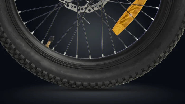 Roadgiant Kiev | Kids Cycle | 20T | Disc Brakes