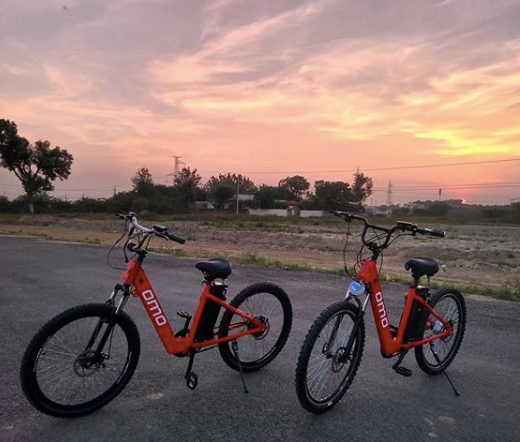 Omo electric deals cycle