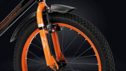 Roadgiant  Showstopper | Kids Cycle | 20T
