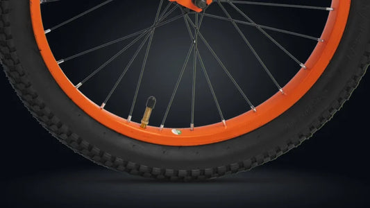 Roadgiant  Showstopper | Kids Cycle | 20T
