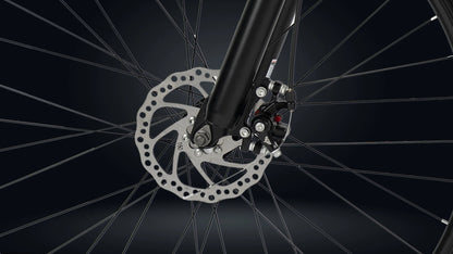 Roadgiant Convict | Single Speed | 29T MTB