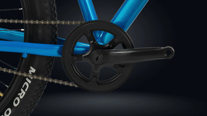 Roadgiant Convict | Single Speed | 29T MTB