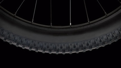 Roadgiant Convict | Single Speed | 29T MTB