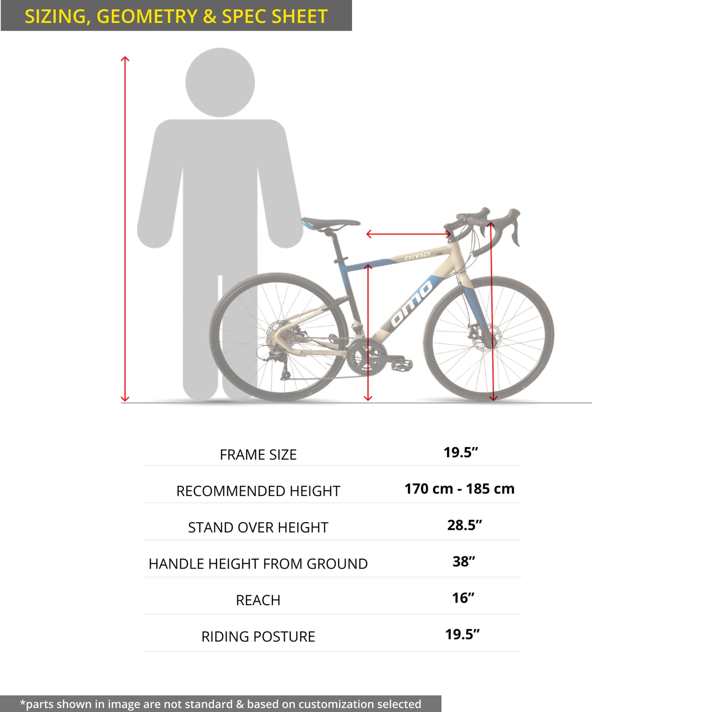 omobikes Munnar 2x9 sora shimano drive train road bike size chart