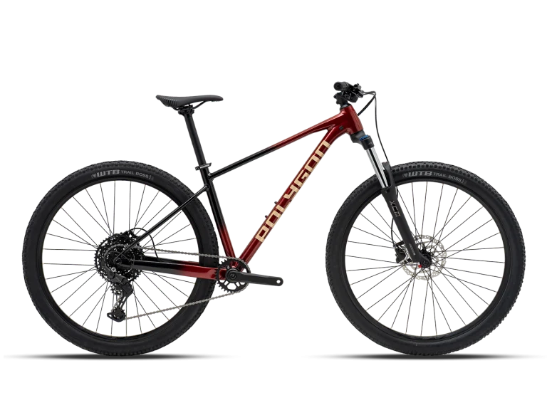 Polygon Xtrada 5 29