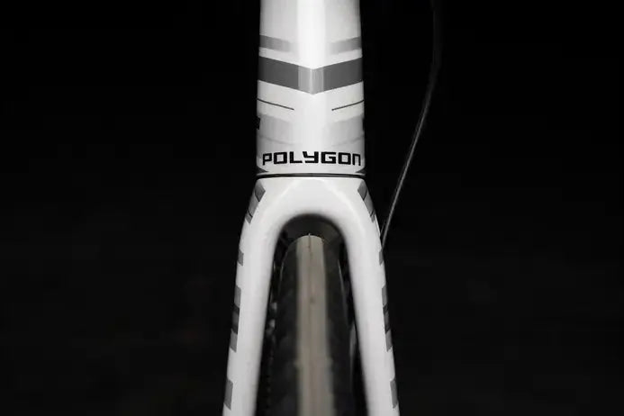 Polygon Strattos S4 Disc