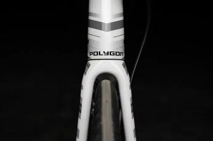 Polygon Strattos S4 Disc