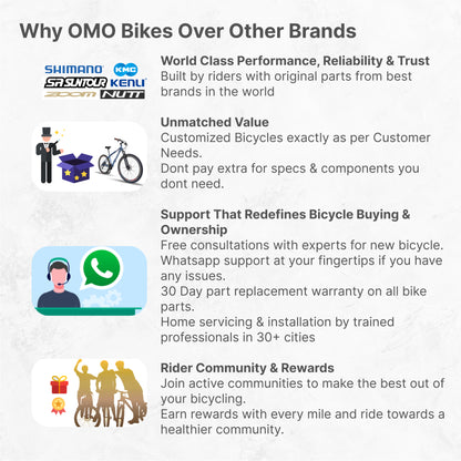 why choose omobikes ladakh alloy hybrid single speed bike over any other brand 